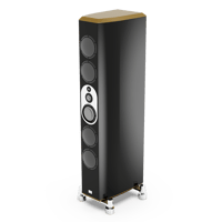 Marten Mingus Orchestra variant 11