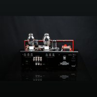 SW1x AMP IV “Aura” Integrated Amplifier variant 9
