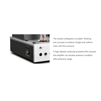 Cayin HA-2A variant 12