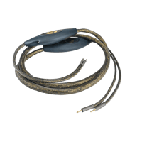 Ansuz Acoustics Speakz - Titanium variant 3