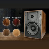 DASL DaSL Speaker variant 2