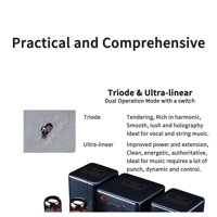 Cayin MT-35MK2 PLUS Bluetooth variant 18