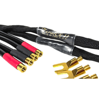 Tara Labs The Caprice II variant 1