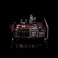 SW1x AMP V “Jupiter” Integrated Amplifier variant 10