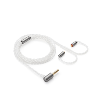 Astell & Kern PEP11 variant 1