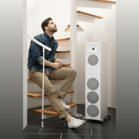 MartinLogan Motion Foundation F2 variant 21