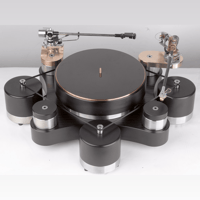 TW-Acustic Raven AC variant 1