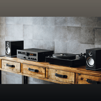 Magnat MTT 990 variant 16