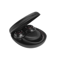 Mark Levinson № 5909 variant 11