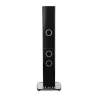 McIntosh Labs XRT1.1K Floor Standing Loudspeaker variant 5