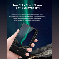 Cayin N6ii variant 16