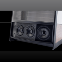 MartinLogan Illusion  ESL C34A variant 10