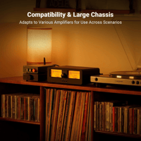 Fosi Audio Fosi Audio LC30 VU Meter Amplifier Speaker Selector variant 6