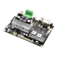 Arylic Up2Stream Amp Mono - Multiroom Wireless Streaming Mono Amplifier Board variant 1
