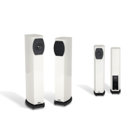 Audium Comp 8.3 Active variant 3