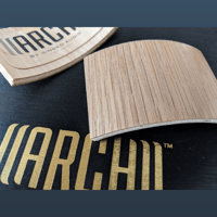 Gingko Audio Mini-ARCH variant 4