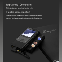 Cayin CS-40TCR35 variant 4