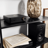 Argon Audio SA2 variant 17