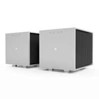 Pilium Audio Hercules Mono Power Amplifier variant 2