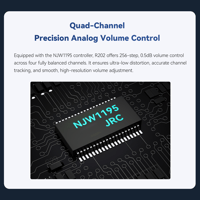 Cayin R2R Audio Motherboard variant 8