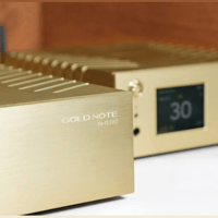 Gold Note pa-10-evo variant 2