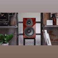 Sonus Faber Lumina II Amator variant 8