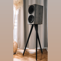 Buchardt Audio Anniversary 10 variant 24