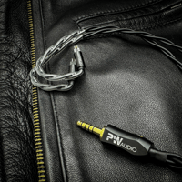 Oriolus PW AUDIO JUHTRUM [PWA-Drum-JSP] variant 2