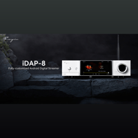 Cayin iDAP-8 variant 2