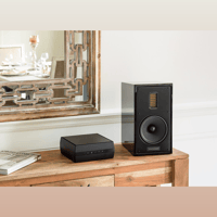 MartinLogan Forte variant 18