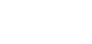 Chameleon Audio logo