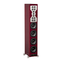 McIntosh Labs XR100 Floor Standing Loudspeaker variant 1