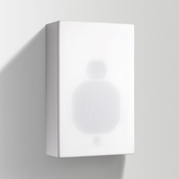 ATC HTS11 On Wall Speaker variant 3