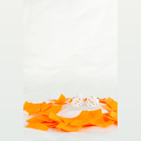 Dunu DK3001BD variant 15