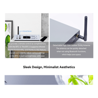 Cayin BTC-2 variant 15