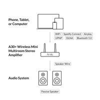Arylic A30+ 30W x 2 WiFi Mini Stereo Amplifier variant 4