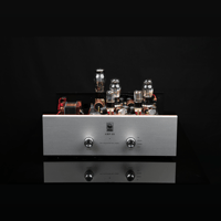 SW1x AMP III “Trinity” Integrated Amplifier variant 9