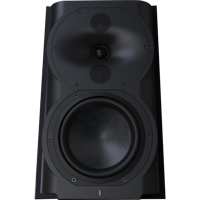 Perlisten R4b variant 2