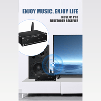 FX Audio MUSE-01PRO variant 4