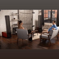 MartinLogan Expression  ESL 13A variant 41