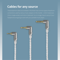 FiiO LC-2.5C/3.5C/4.4C variant 6