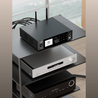 Arylic A100 100W x 2 Power amplifier with FM variant 9