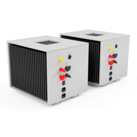 Pilium Audio Hercules Mono Power Amplifier variant 5