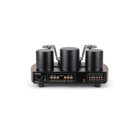 Mastersound Icon variant 3