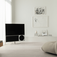 Canvas The HiFi Frame Carsten Beck Edition variant 6