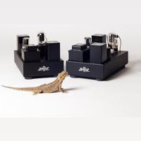 La Rosita MAX variant 2