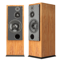 ATC - USA ATC SCM100PSLT Floorstanding Passive Speakers; Pair variant 1