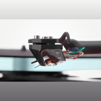 Rega Ania variant 4
