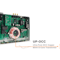 Denafrips Arcas Streamer variant 13