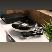Rega RB Titanium variant 6